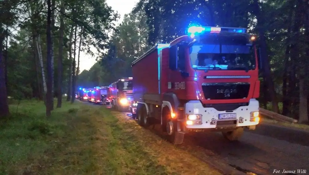 Pożar lasu