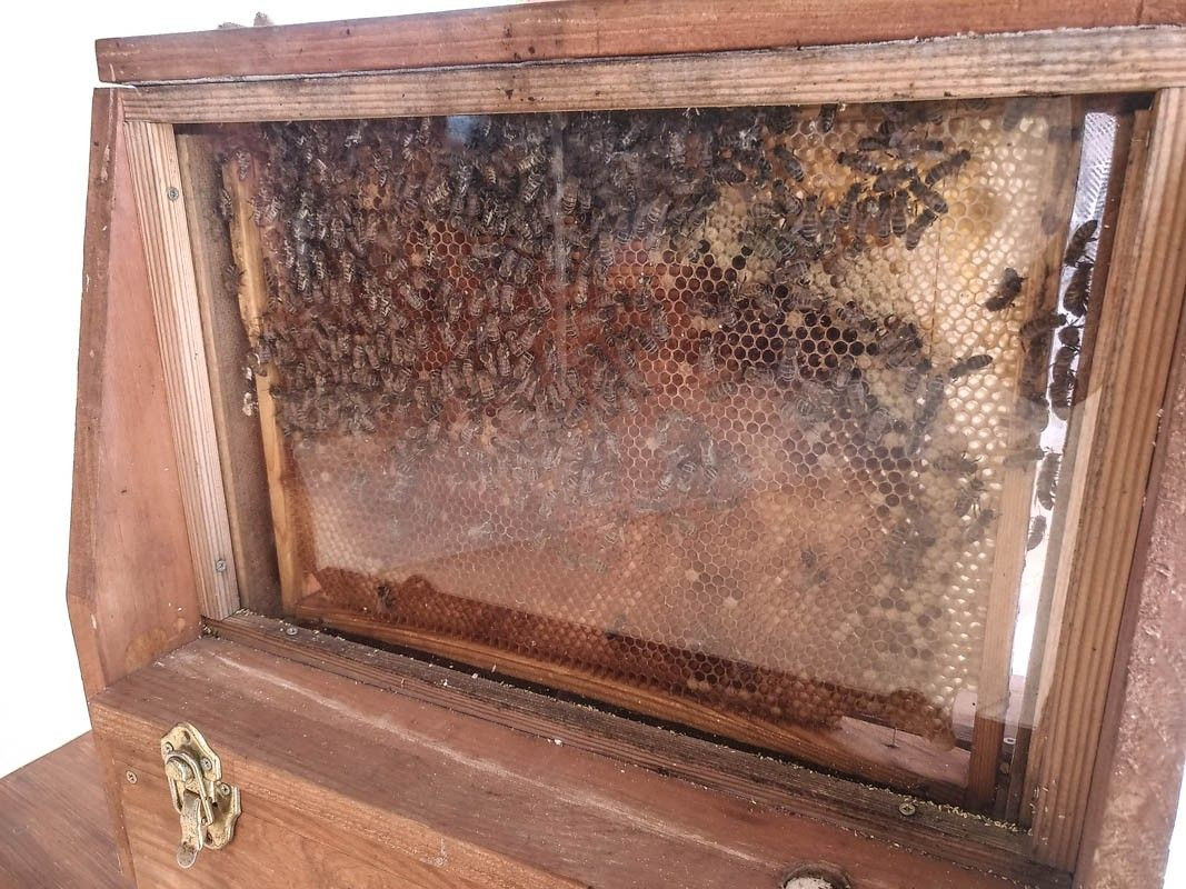 Piknik Rodzinny w Przedszkolu Akademia Rozwoju w Tomaszowie Bolesławieckim