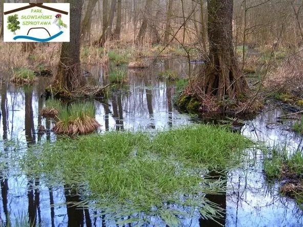Park Słowiański