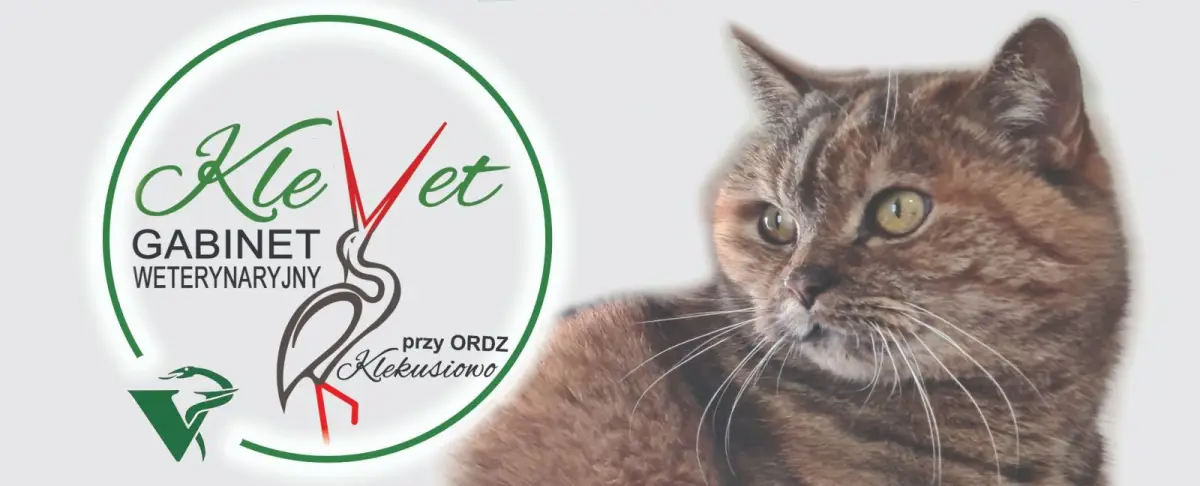 Ośrodek Klekusiowo zatrudni dodatkowego lekarza weterynarii