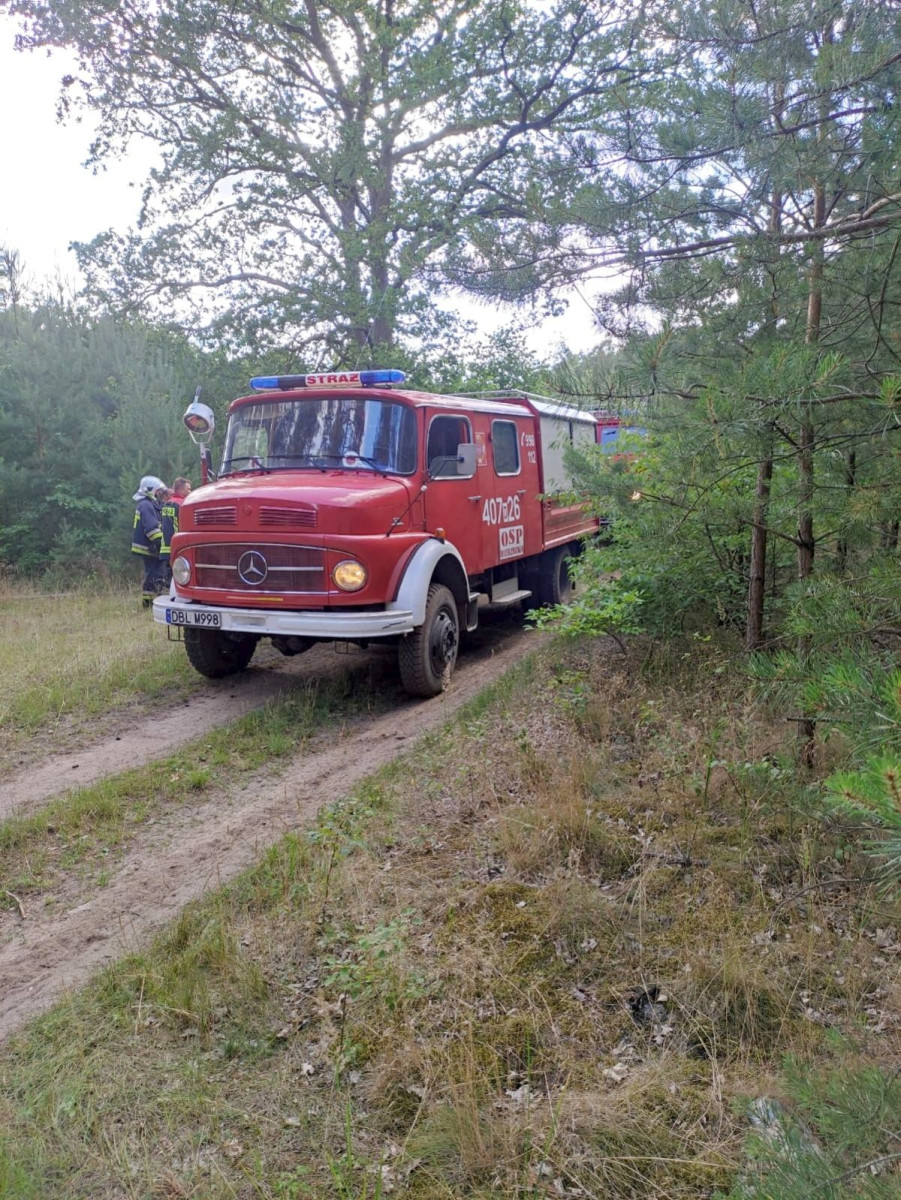 Pożar lasu w leśnictwie Pasternik