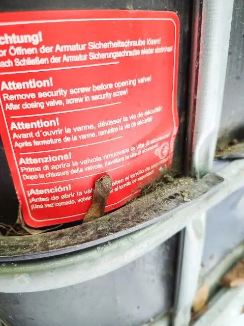 Kontener z chemikaliami w lesie
