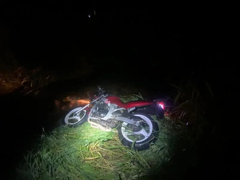Akcja lwóweckiej policji