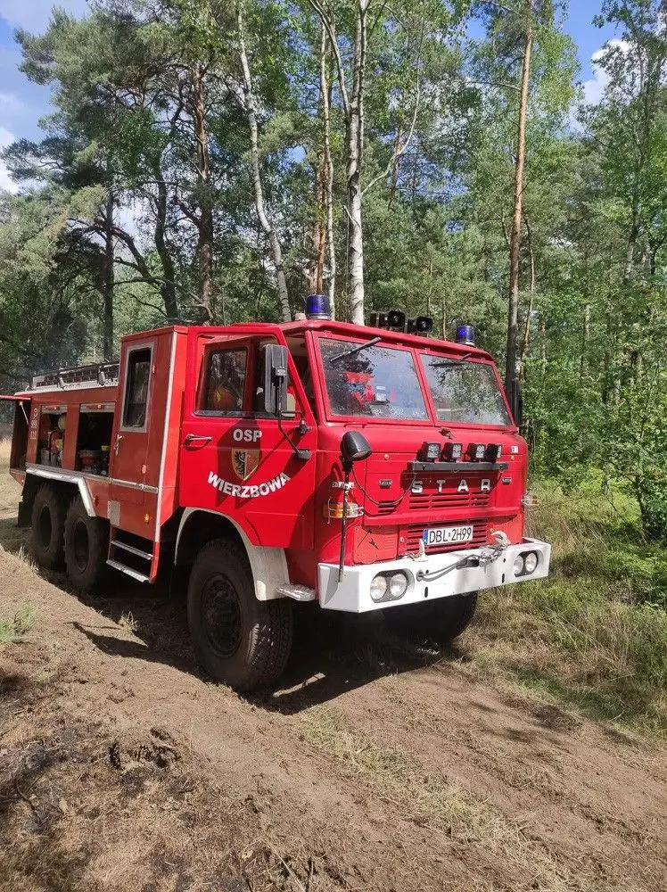 Akcja straży pożarnej w miejscowości Motyle