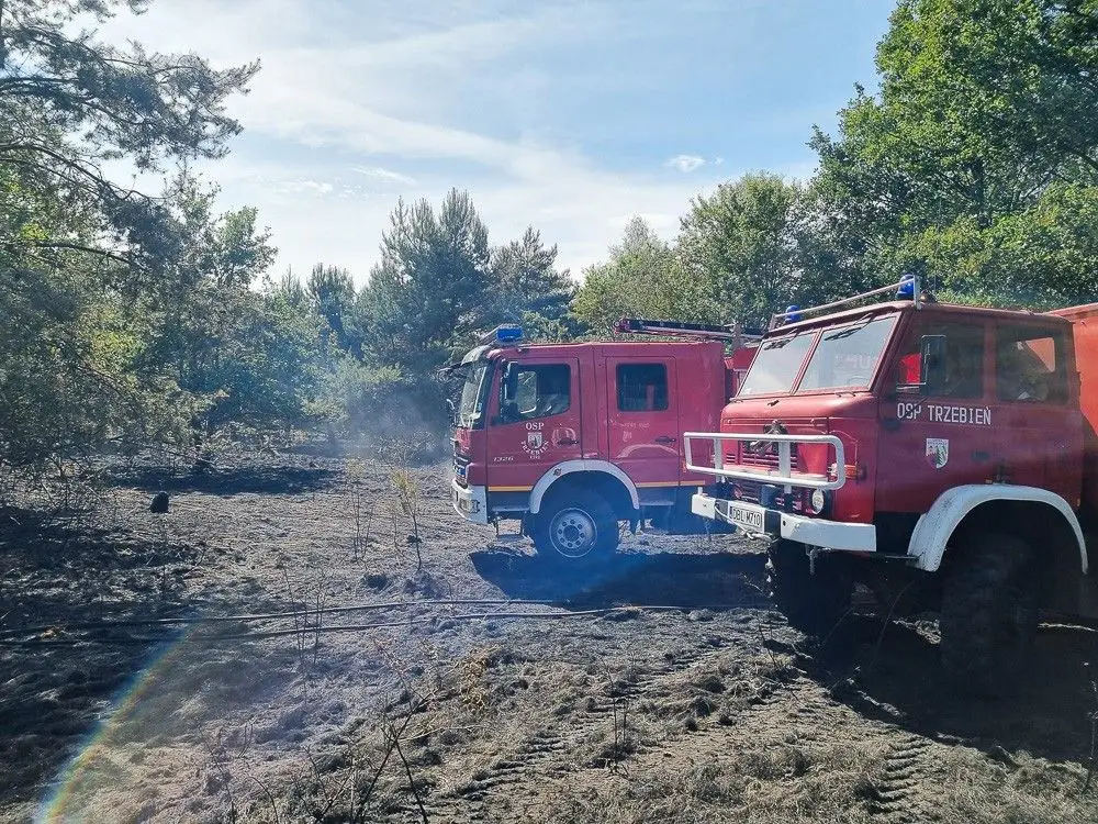 Akcja straży pożarnej w miejscowości Kozłów