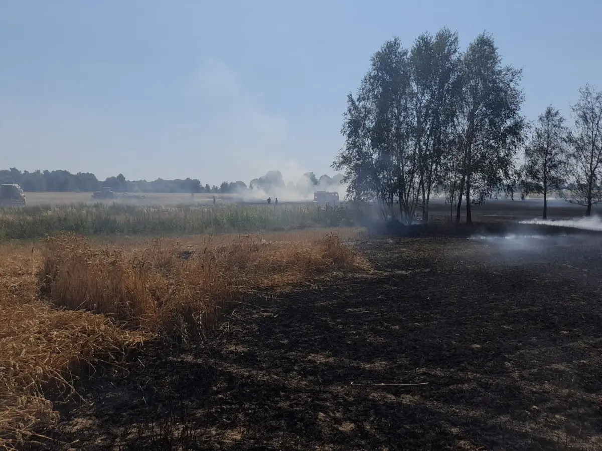 Akcja straży pożarnej w Nowogrodźcu