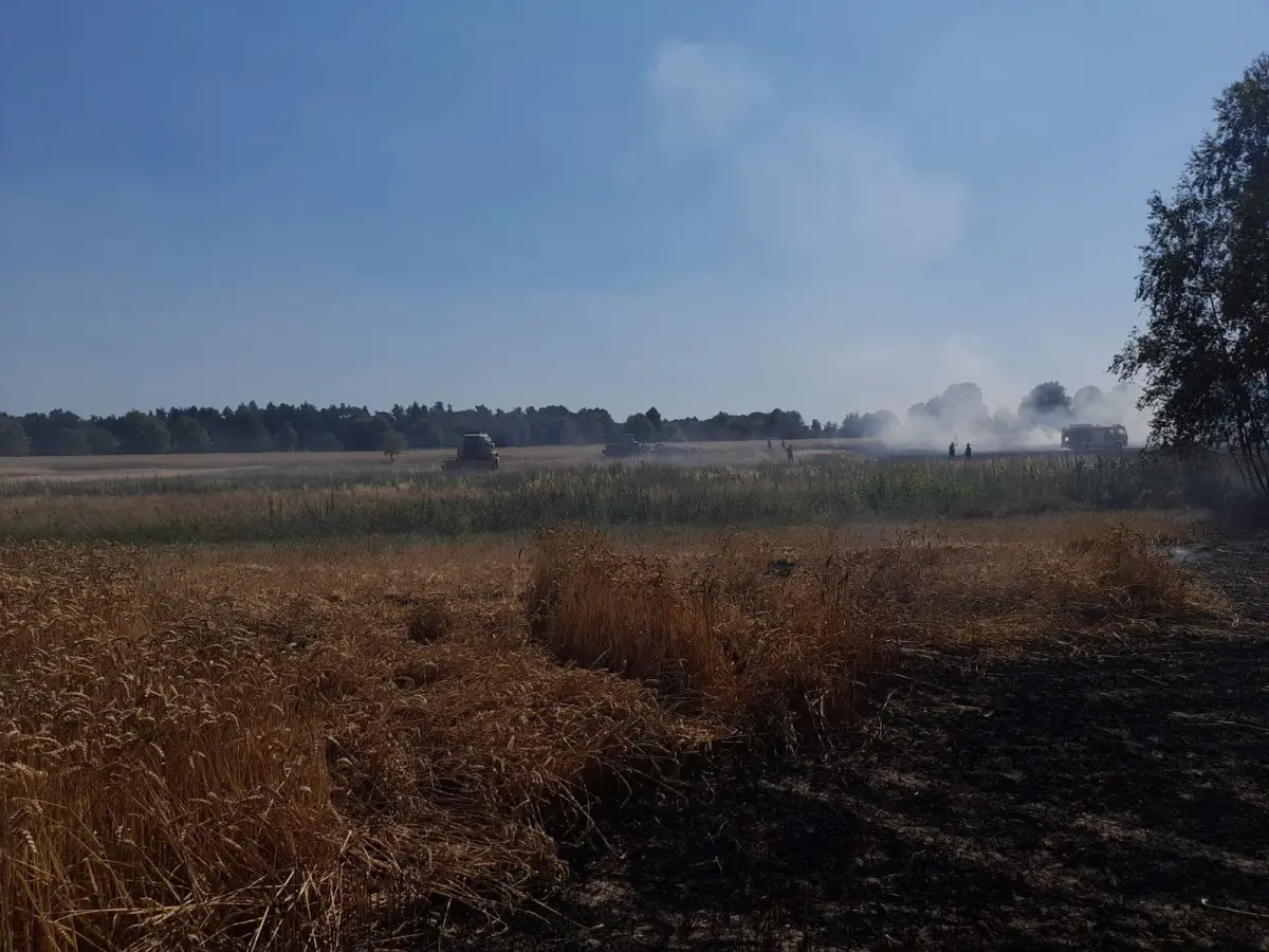 Akcja straży pożarnej w Nowogrodźcu