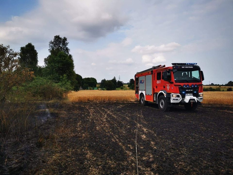 Akcja służb w Chościszowicach