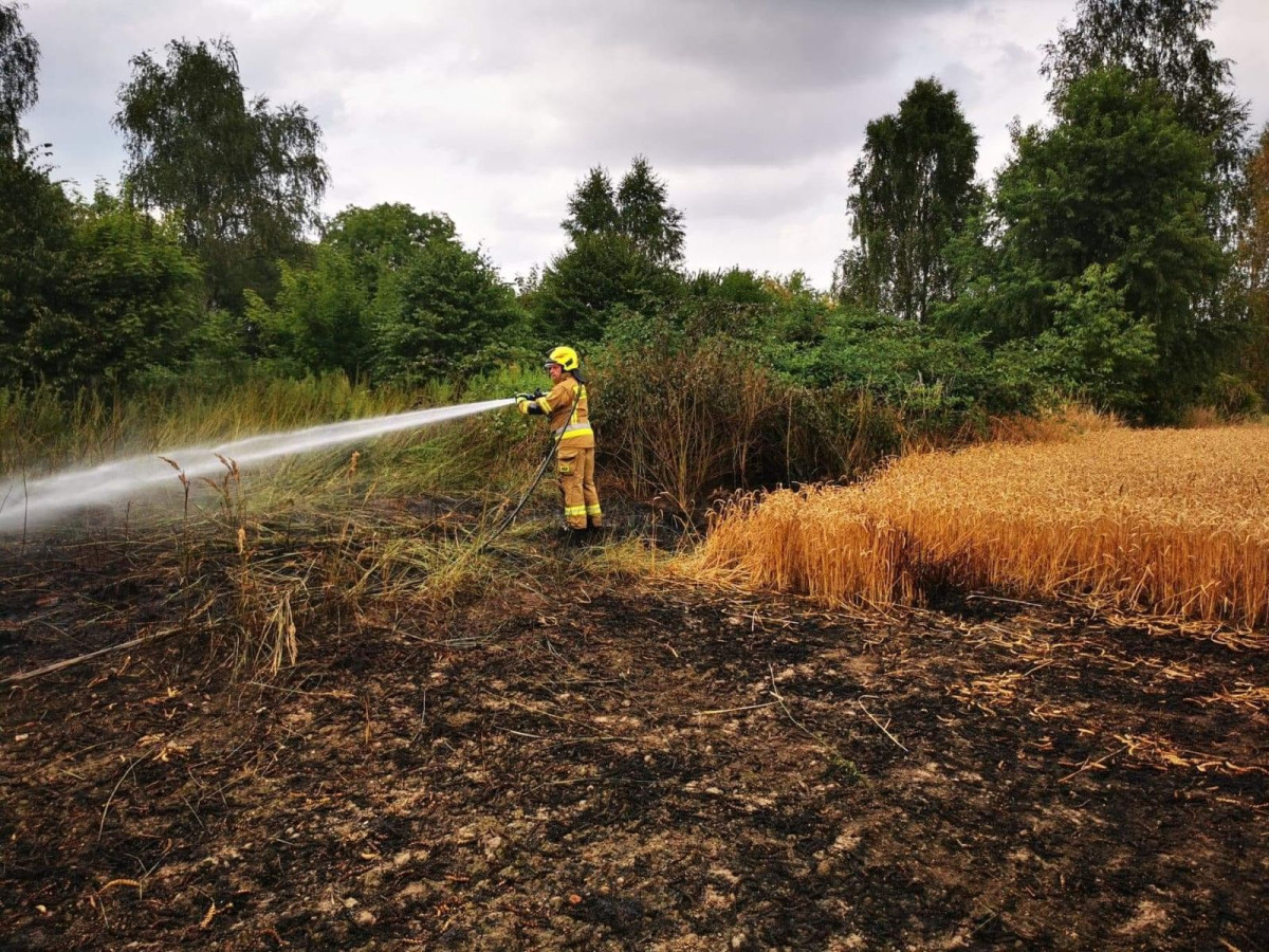 Akcja służb w Chościszowicach