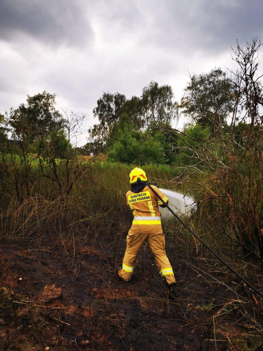 Akcja służb w Chościszowicach