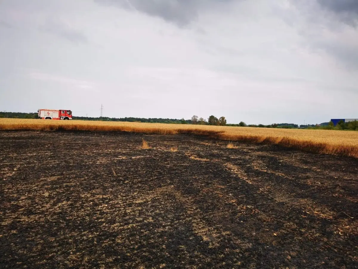 Akcja służb w Chościszowicach