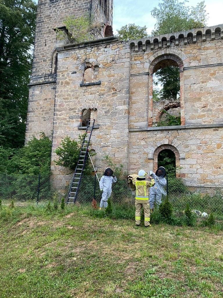 Akcja straży w Starych Jaroszowicach
