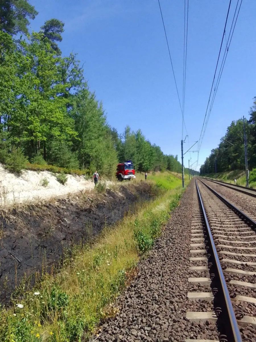 Działania OSP Nowogrodziec