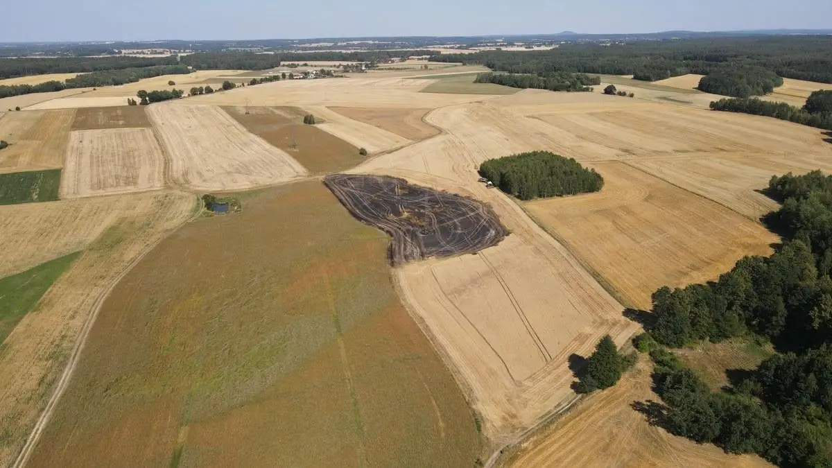 Pożar pola w Milikowie