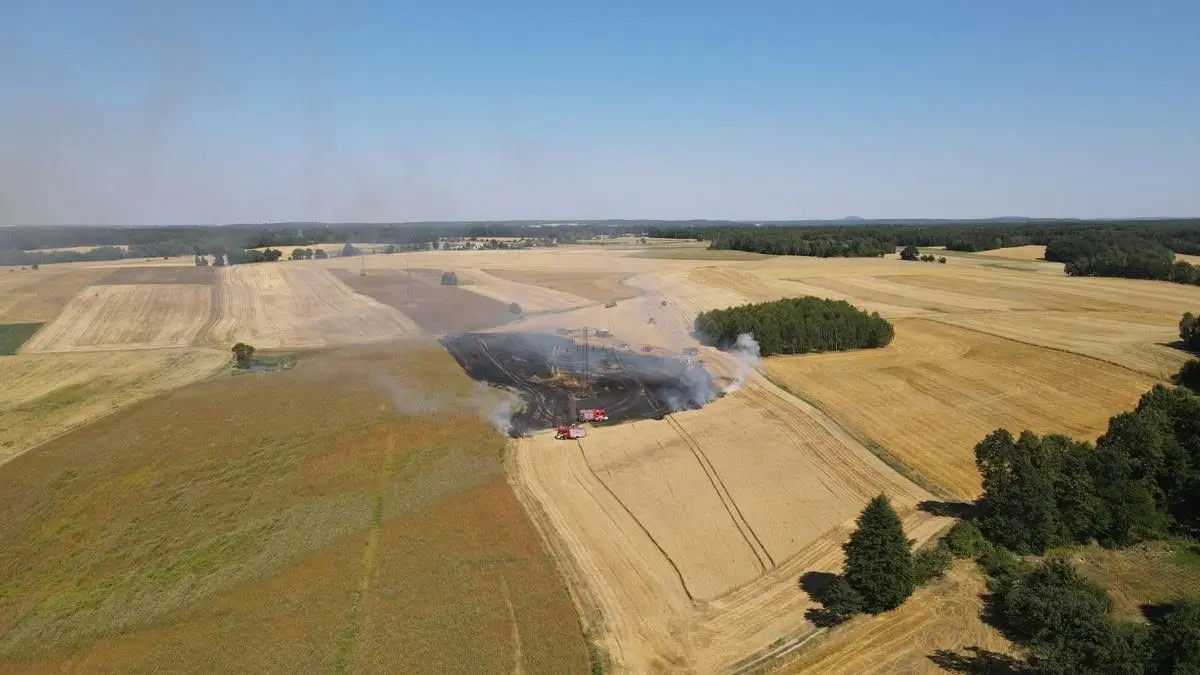 Pożar pola w Milikowie