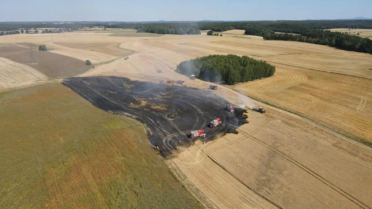 Pożar pola w Milikowie