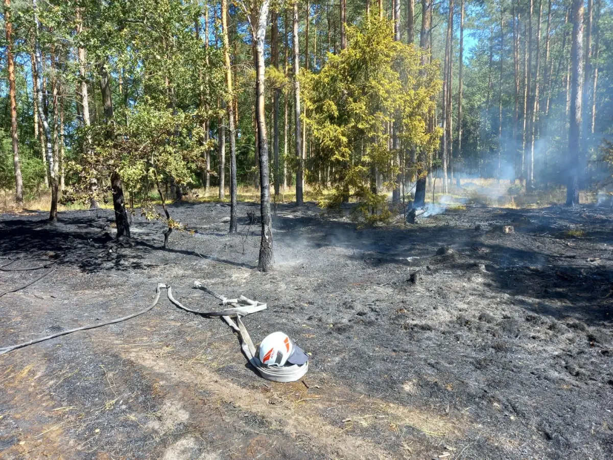Пожежі в гміні Gromadka