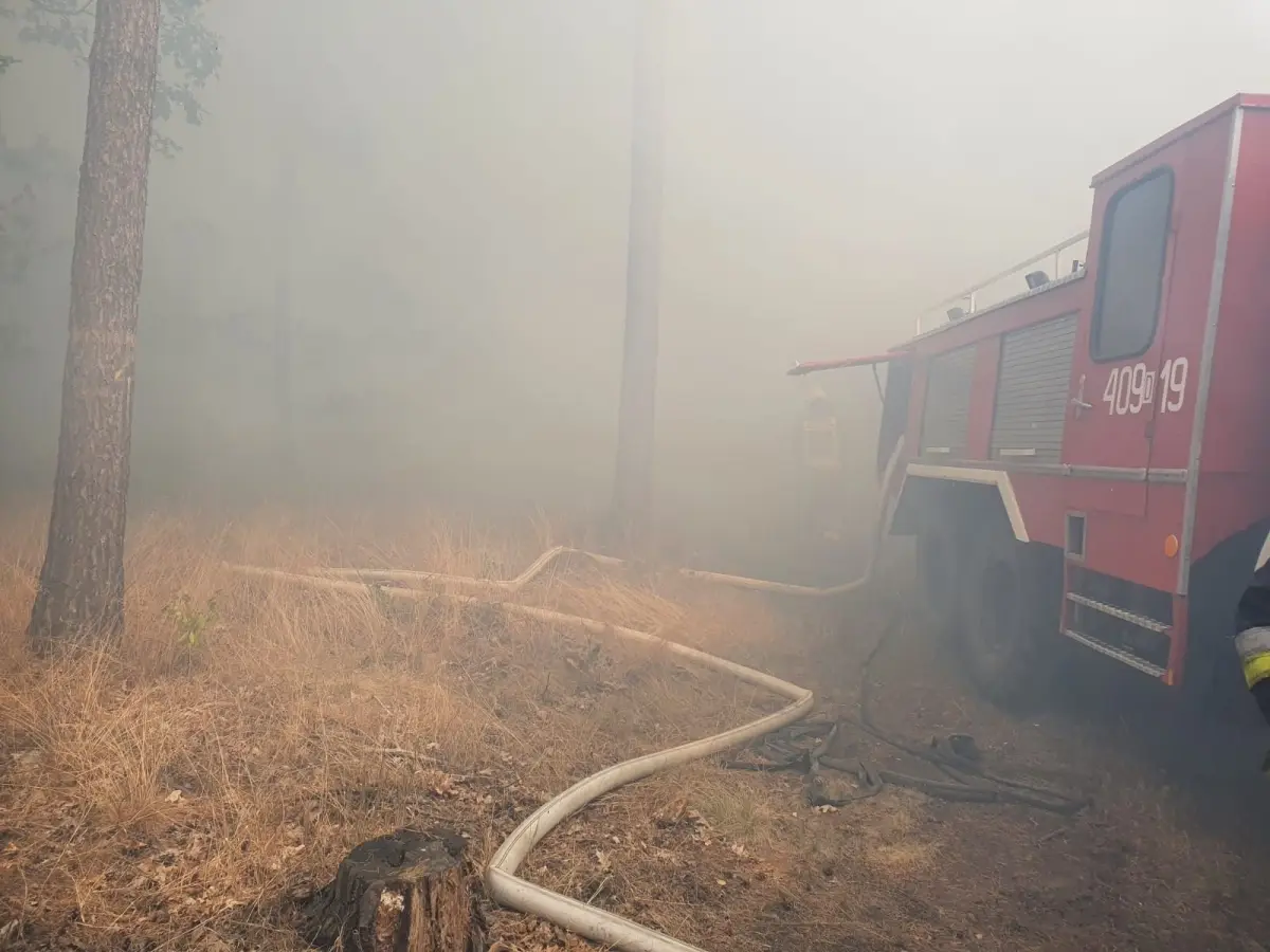 Działania OSP Trzebień