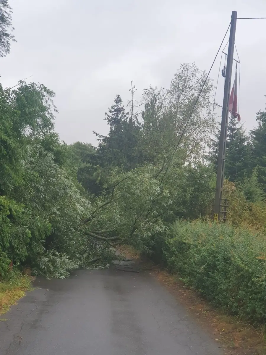 Działania OSP Trzebień