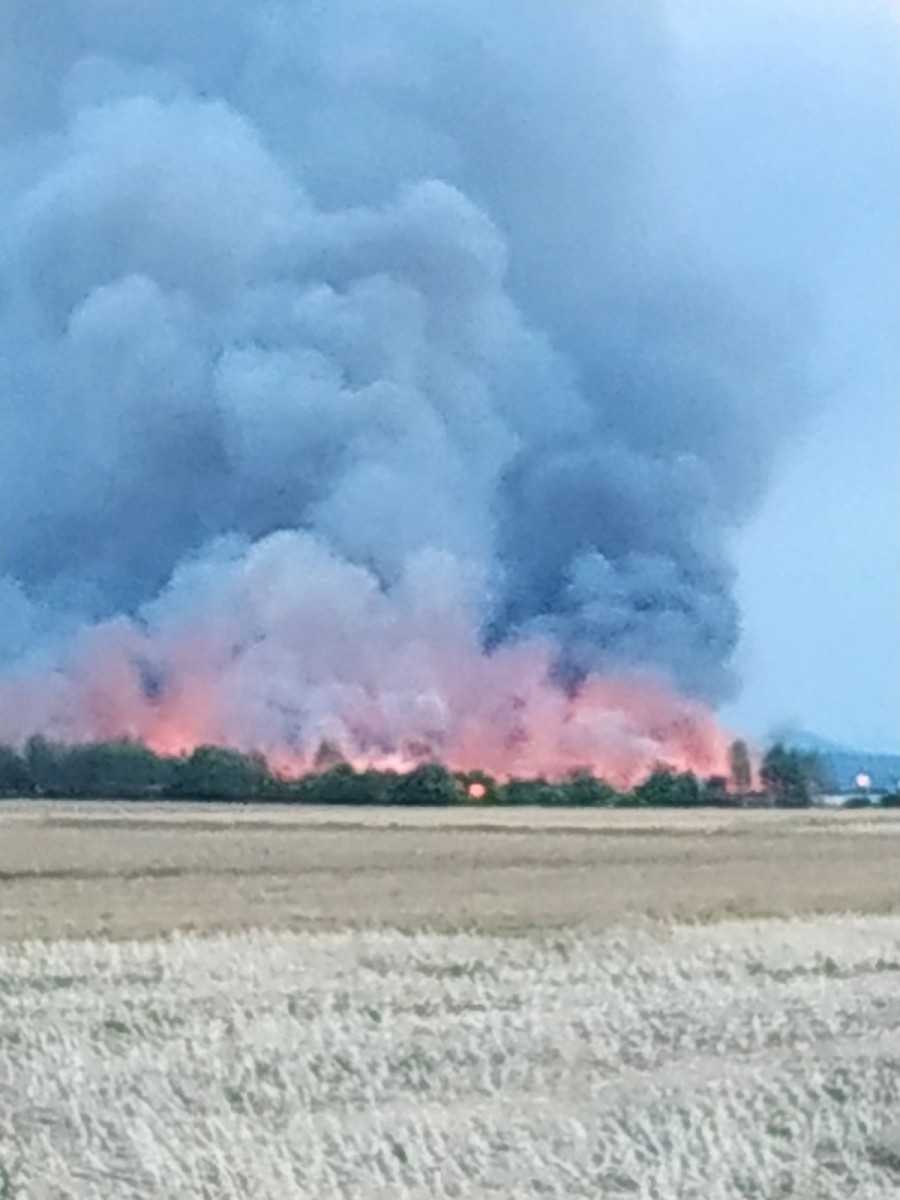Pożar na strefie ekonomicznej w Osłej