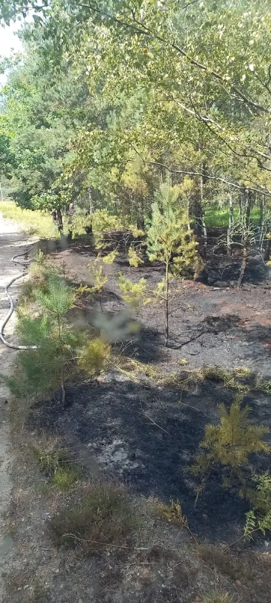 Działania strażaków