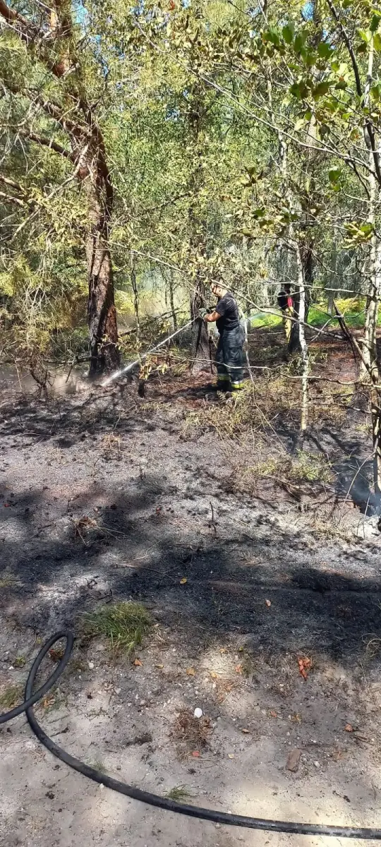 Działania strażaków