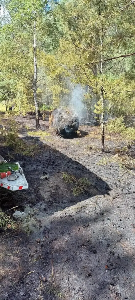 Działania strażaków