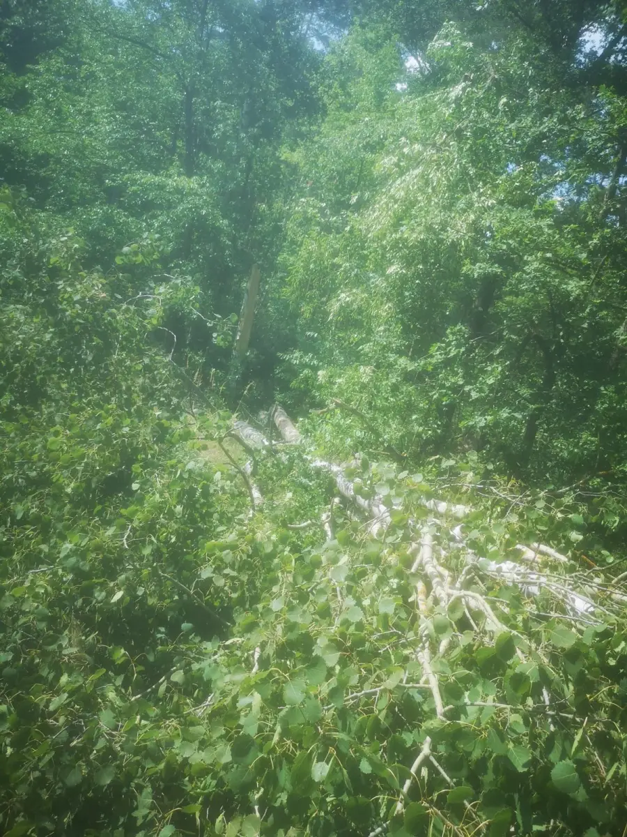 Akcja straży pożarnej w gminie Gromadka