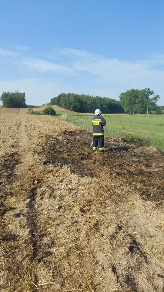 Działania straży pożarnej w miejscowości Gościszów