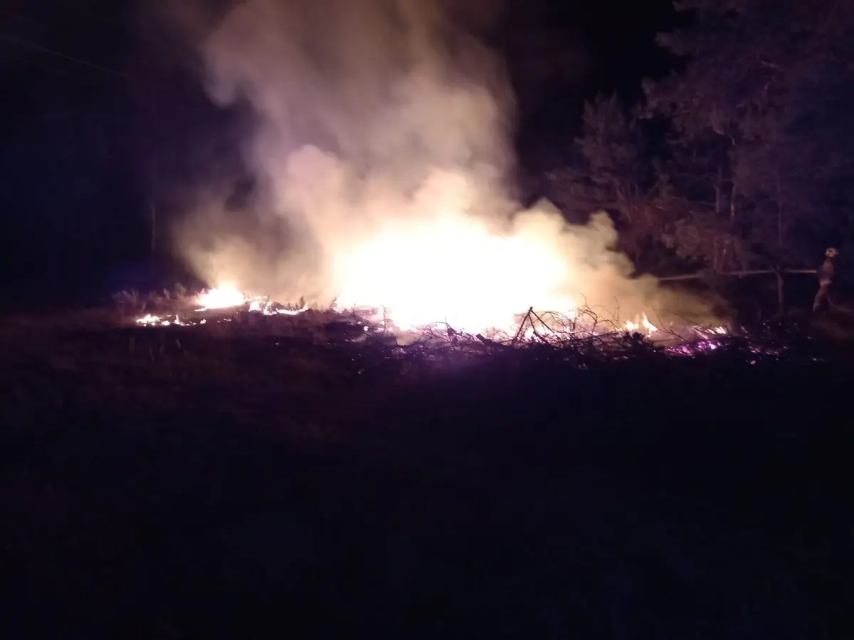 Działania strażaków w miejscowości Gromadka