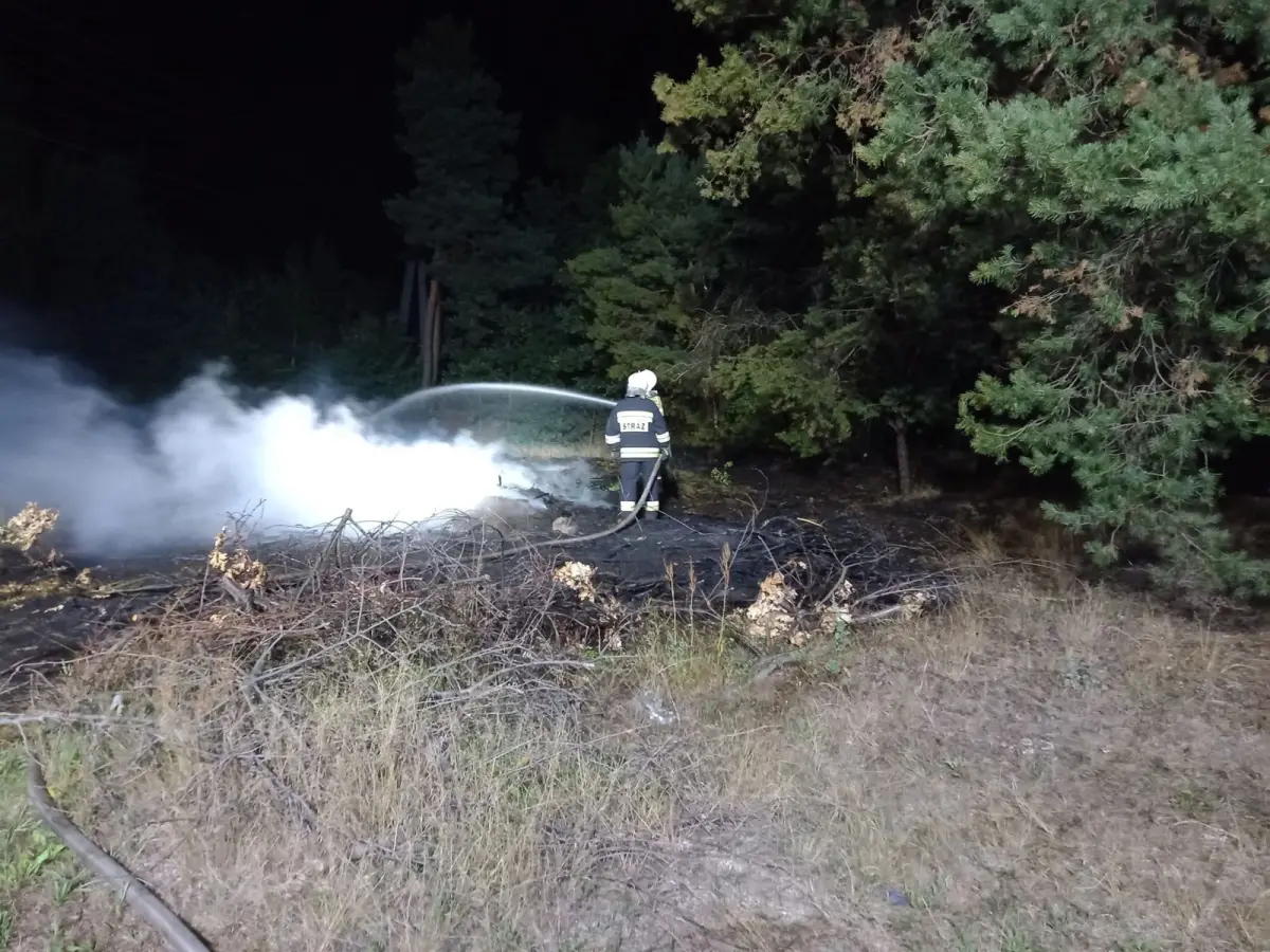 Działania strażaków w miejscowości Gromadka
