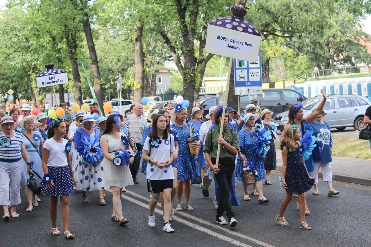 Zobacz paradę ceramiczną, która przeszła ulicami Bolesławca