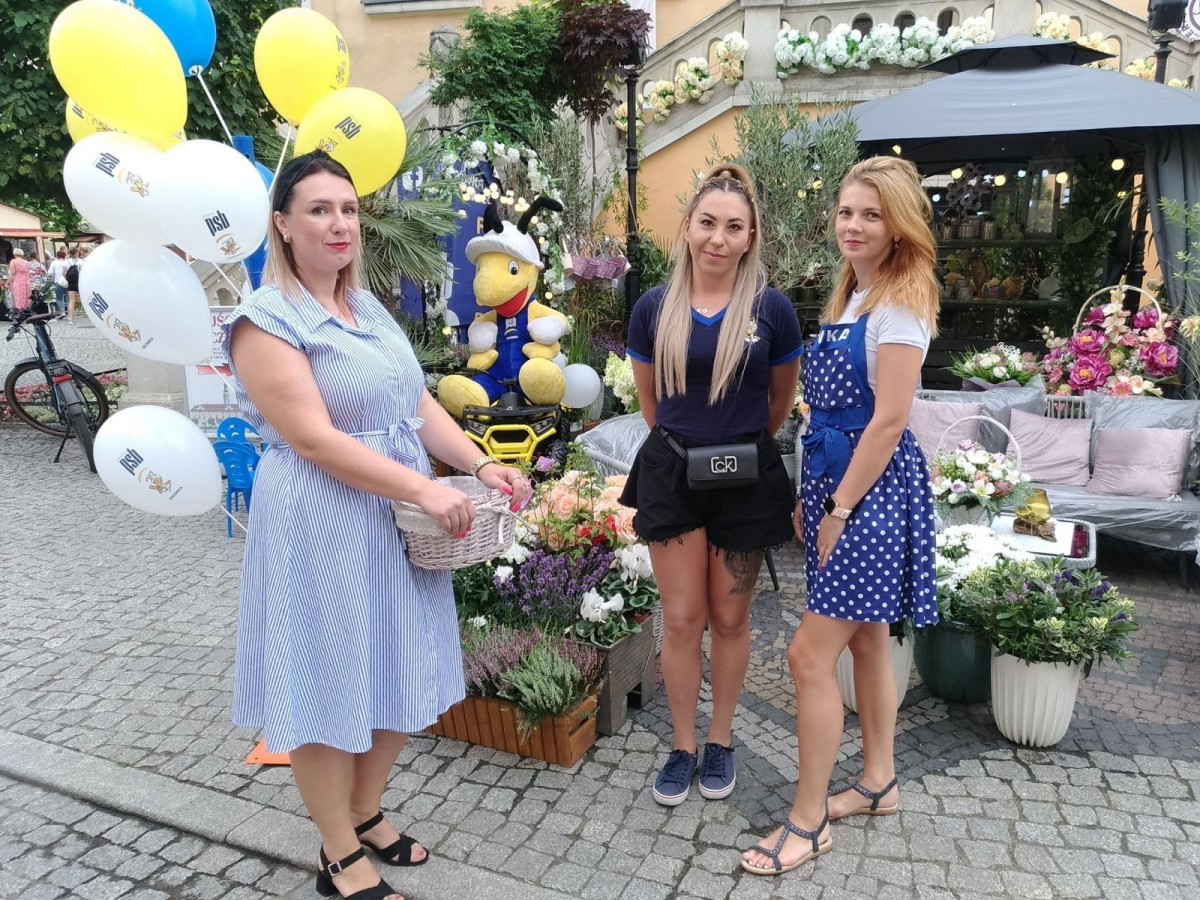 Święto ceramiki: kilka ujęć centrum Bolesławca z soboty