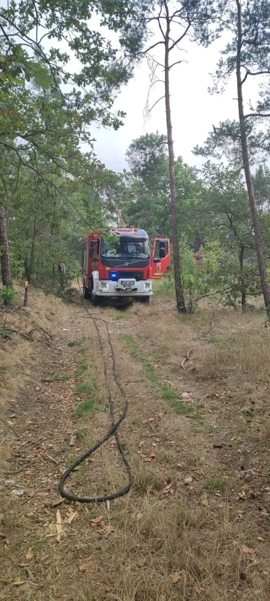 Akcja straży pożarnej w miejscowości Gromadka
