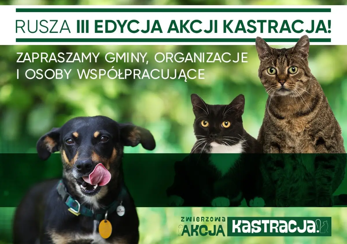 Akcja - kastracja