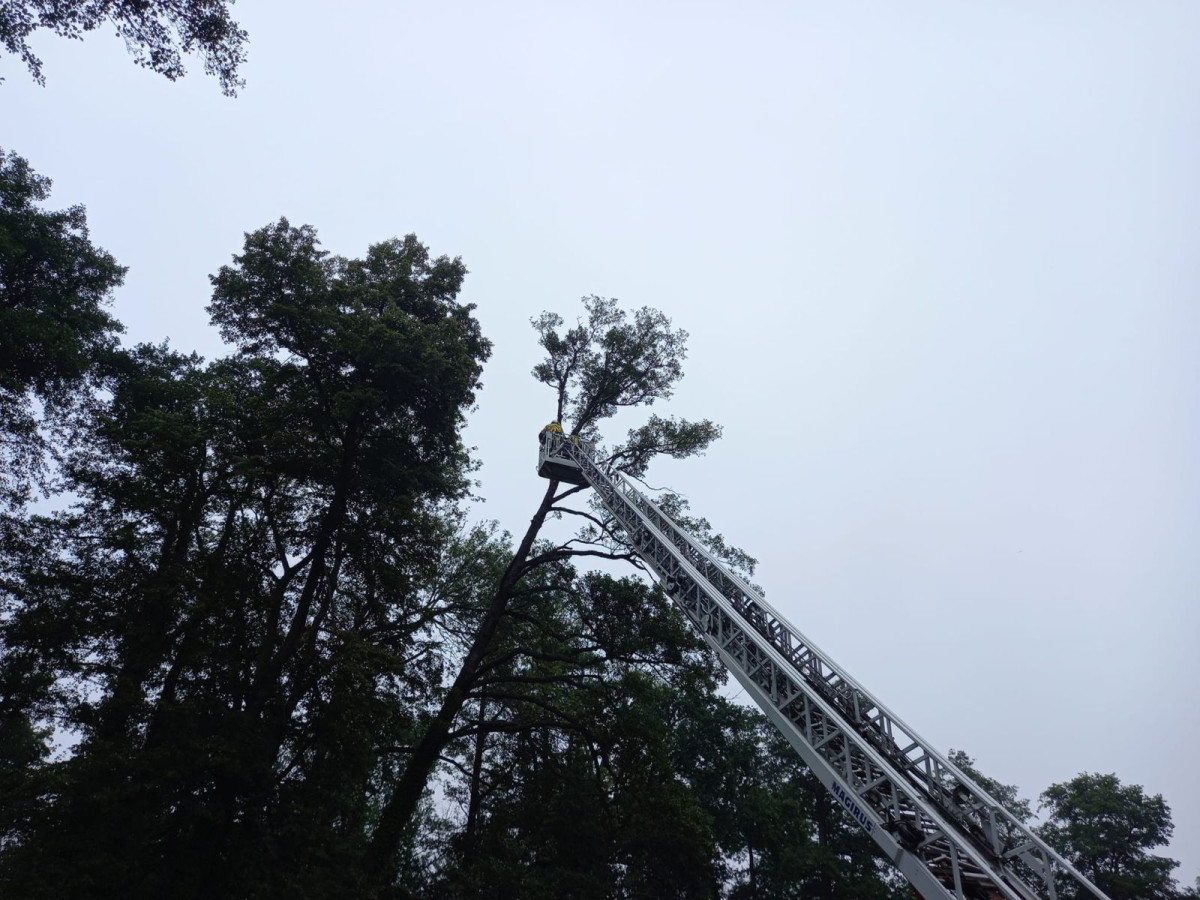 Akcja straży pożarnej