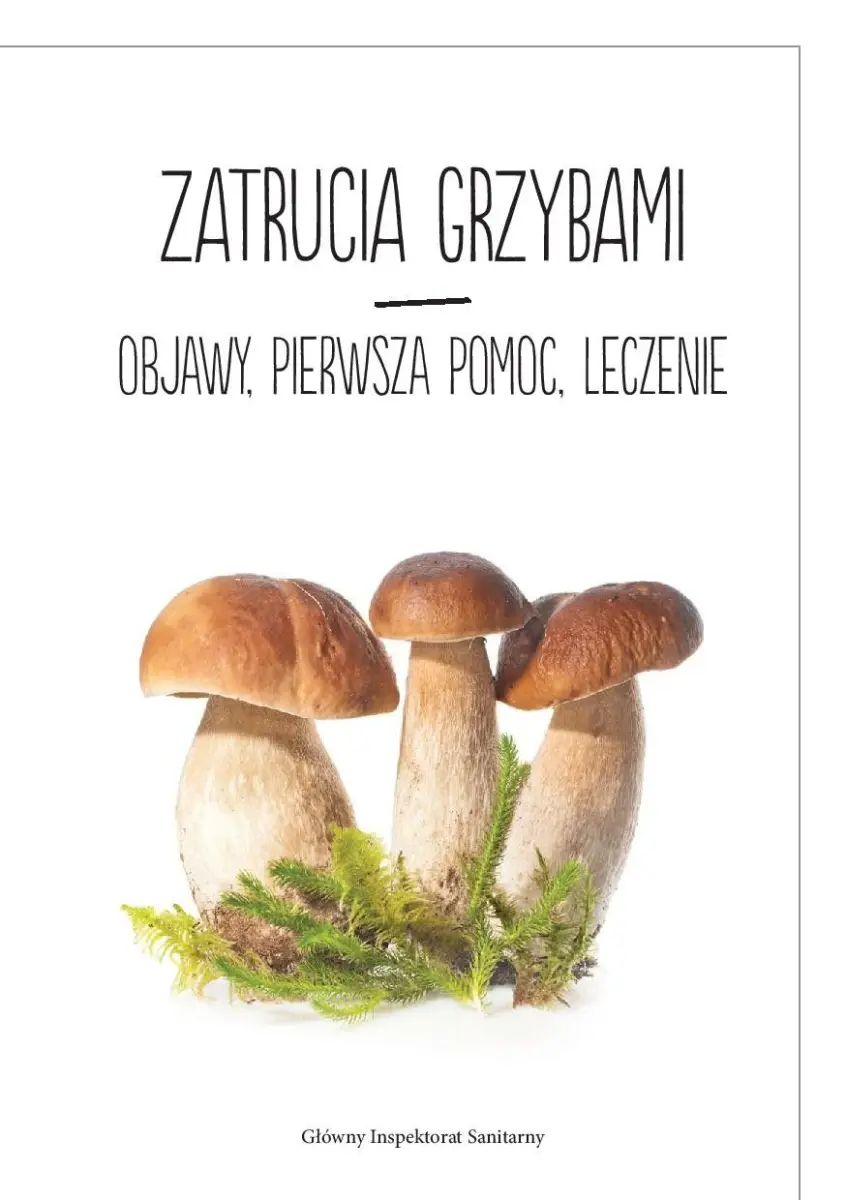 Ulotka Głównego Inspektoratu Sanitarnego