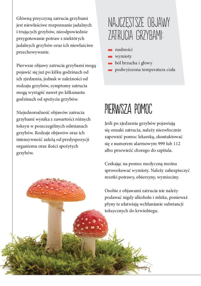 Ulotka Głównego Inspektoratu Sanitarnego