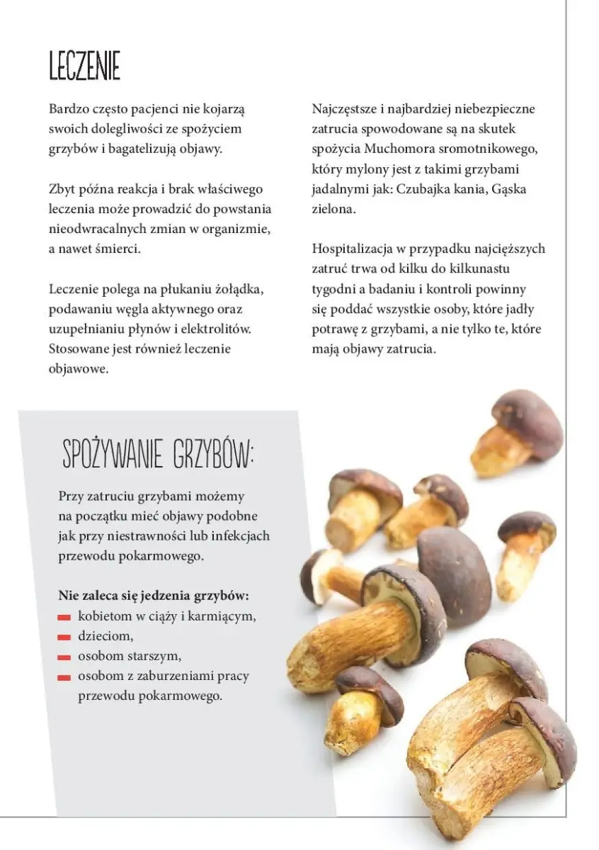 Ulotka Głównego Inspektoratu Sanitarnego