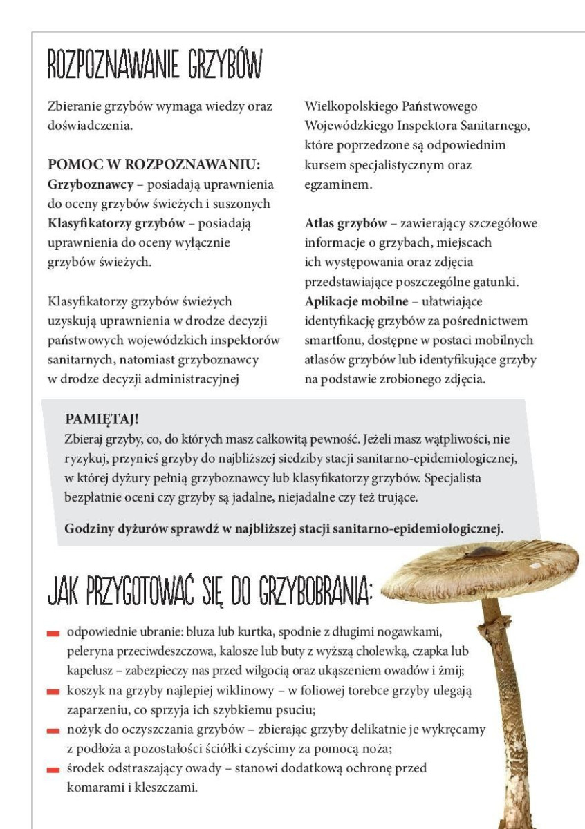 Ulotka Głównego Inspektoratu Sanitarnego