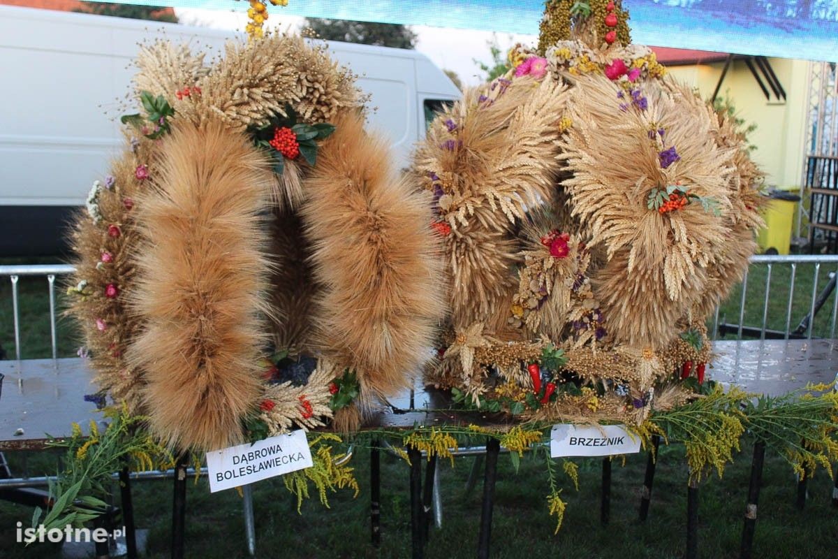 Dożynki Gminy Bolesławiec w Żeliszowie 2022