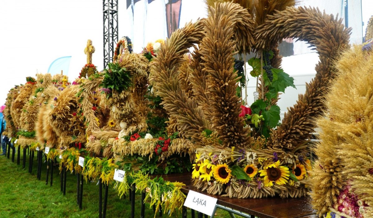 Gminne Dożynki w Powiecie Bolesławieckim