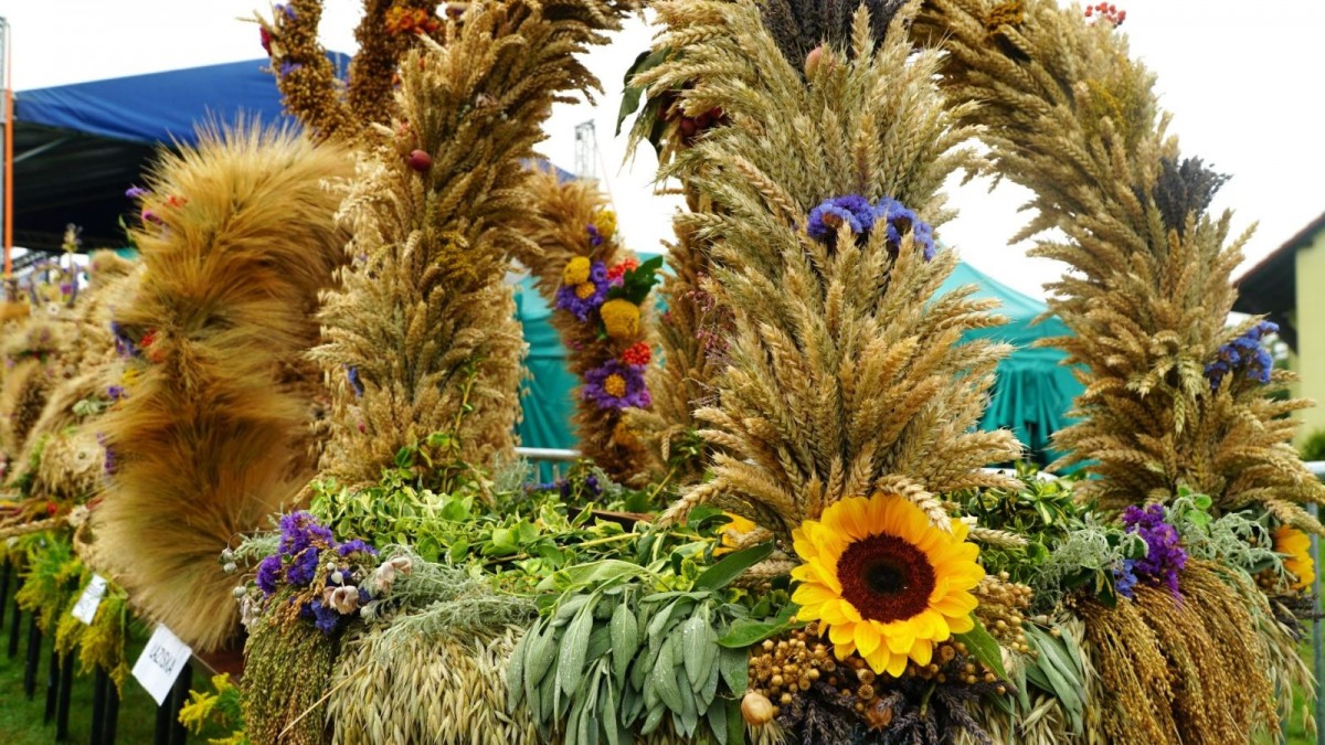 Gminne Dożynki w Powiecie Bolesławieckim