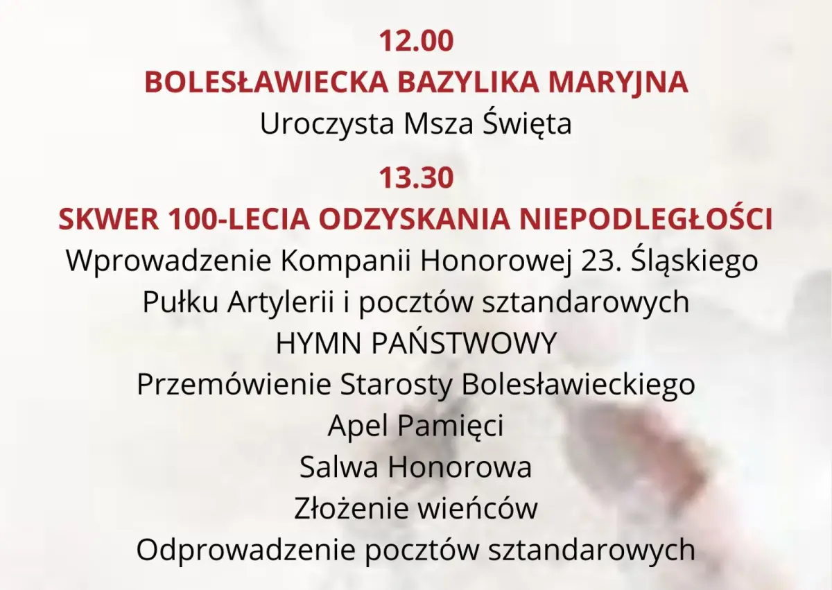 Infografiki Powiatu Bolesławieckiego