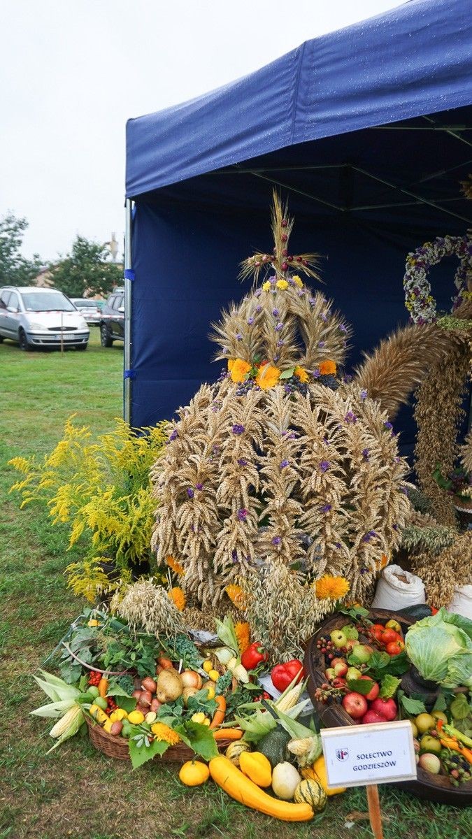 Dożynki Gminne w Czernej