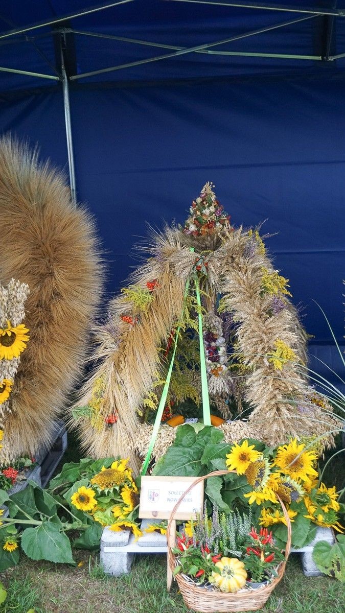 Dożynki Gminne w Czernej