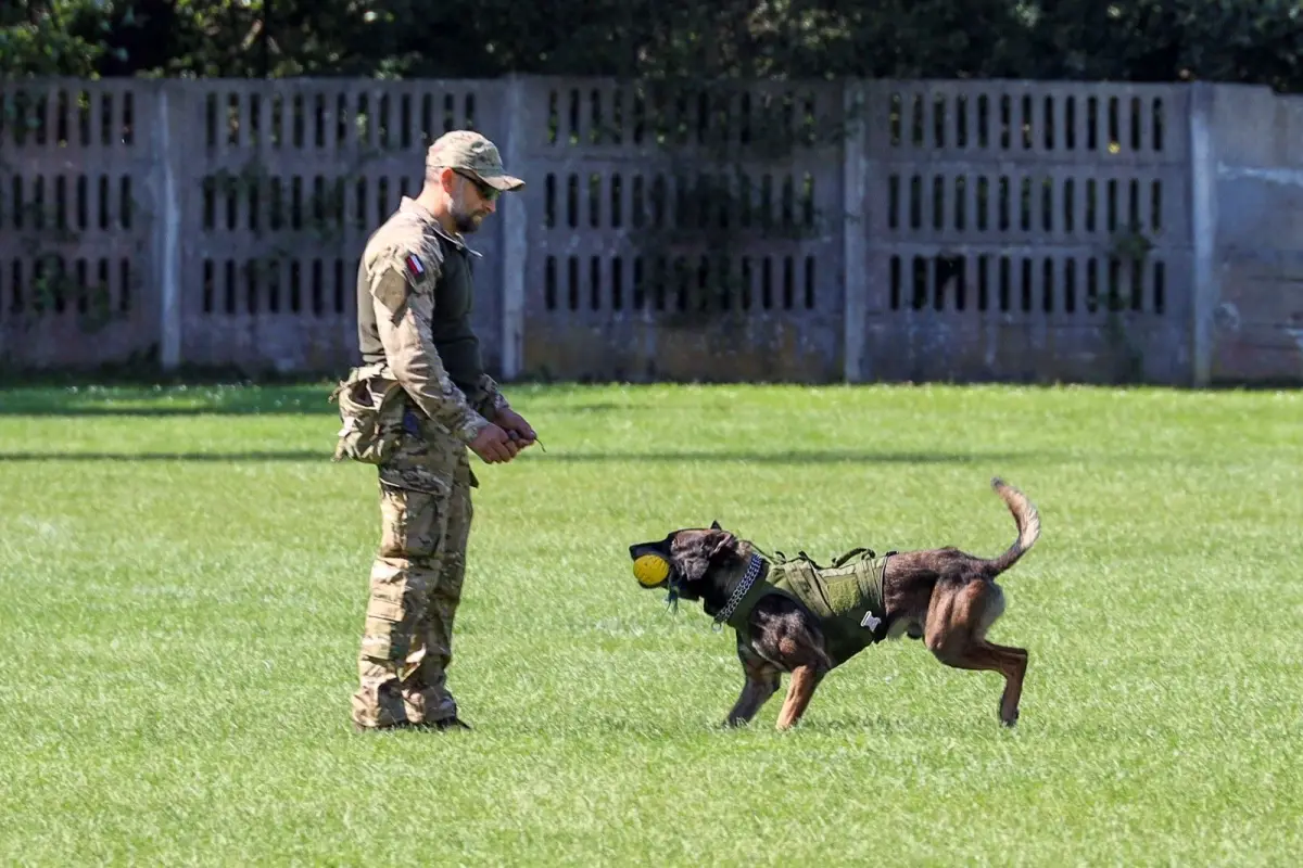 Piknik militarny