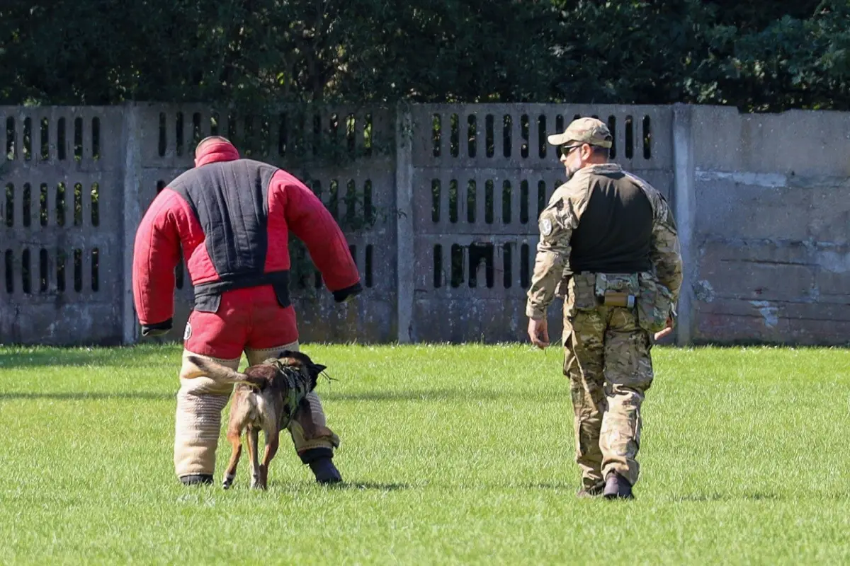 Piknik militarny