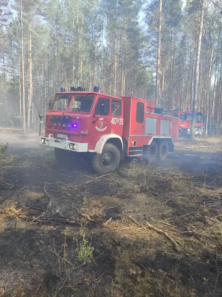 Działania OSP Wierzbowa