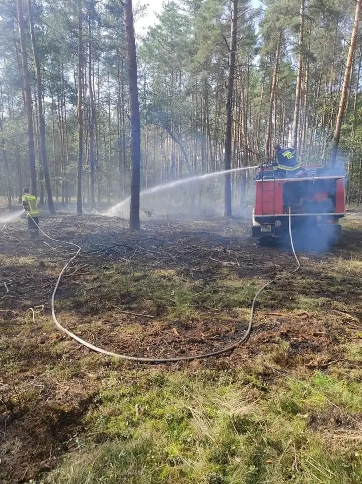 Działania OSP Wierzbowa